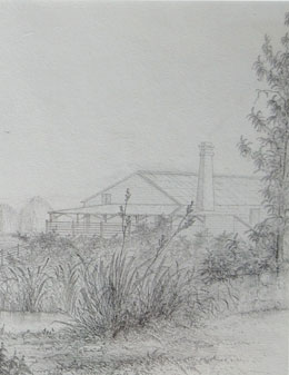 Pencil Drawing restoration